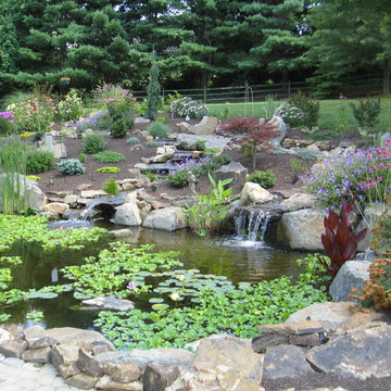 Pond