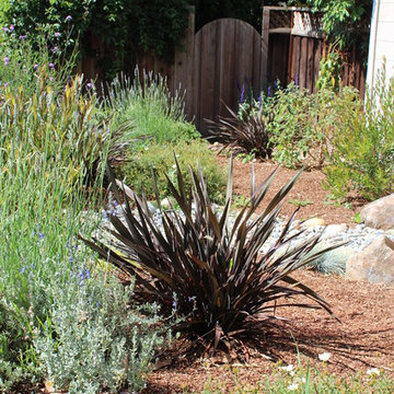 Front Garden Oasis