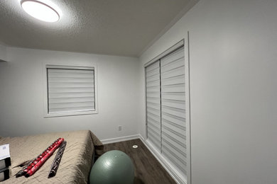 Zebra blinds White light filtering