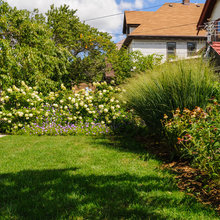 Landscape Ideas