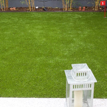 Rathmines Urban Garden