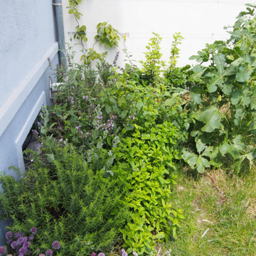Petit jardin urbain comestible - Fontenay-sous-Bois