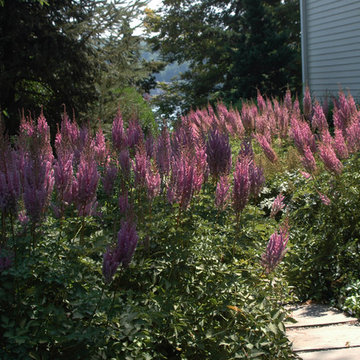 Plantings