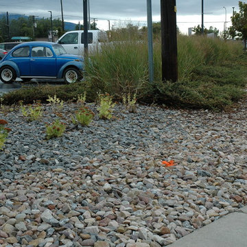 Thirty one hundred south UTA park & ride water wise