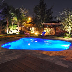 Naturall Freeform Pool with Steps Spa and Rockwork - Aboveground Swimming Pools