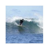Brian Bird's photo