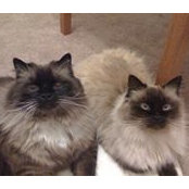 Deborah Parvel's photo