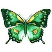 Elizabeth Tavarez's photo