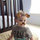 matt_aster