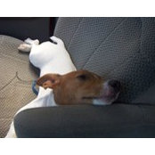 Mike Lancaster's photo