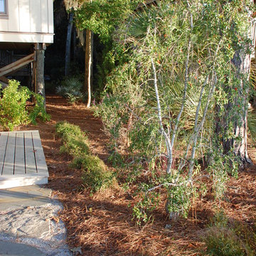 Kiawah Coastal Garden