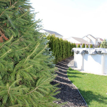 Complete Backyard Transformation