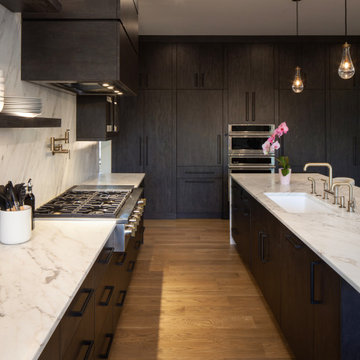Tiger's Eye Contemporary Kitchen