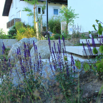 Felsenliebe