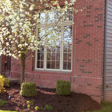 Exterior Ideas