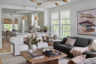 Example of a transitional living room design in Denver