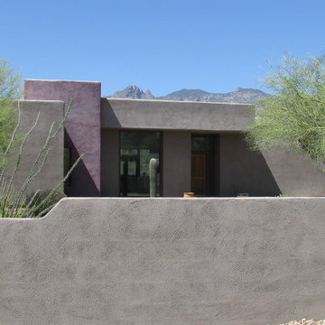 Camino Real Development, Tucson, Arizona Architect David Tyson