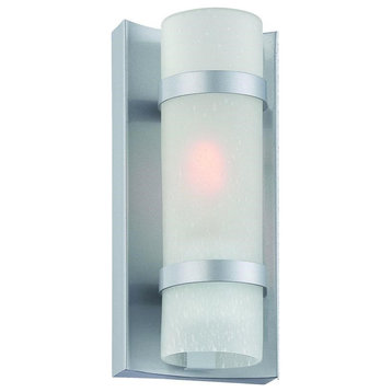 Acclaim Apollo 1-Light Outdoor Wall Light 4700BS - Brushed Silver