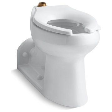 Kohler Anglesey 1.6 Or 1.28 GPF Comfort Height Bowl With Bedpan Lugs, White