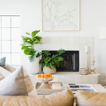 Family Room Fireplace