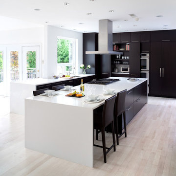Contemporary Kitchen Design in Potomac, MD