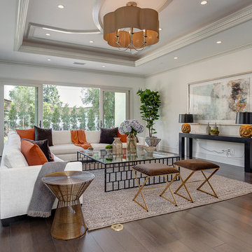 Transitional Living Room