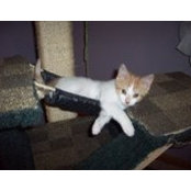 Tracey Moneta's photo