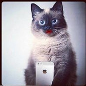 Foto von Happy Daiz
