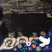 Lynne Kramm's photo