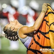 Sam Harris's photo