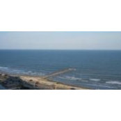 Debbie Hardin's photo