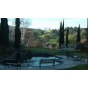 Starr Tiano's photo