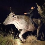 Craig Vyvial's photo