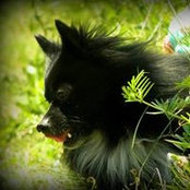 Violet Meigs's photo