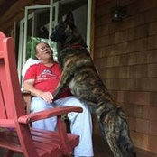 Susan Edwards's photo