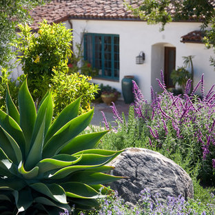 75 Most Popular Mediterranean Front Yard Garden Design Ideas for