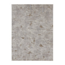 Living Room Rug