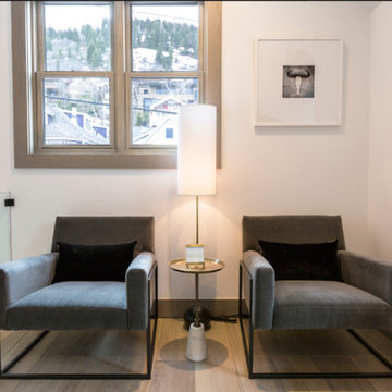 Park Ave Modern