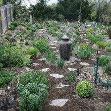COMO ARREGLAR MI JARDIN