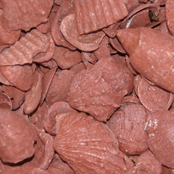 Green Ground Effects Colored Shell - Outdoor Products