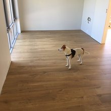 Dining Room Renovation