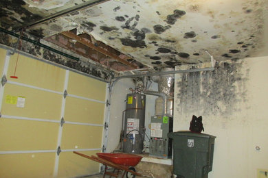 W5 Mold - Before and After