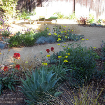 Vibrant Plant Colors and Textures With DG In Fairfax, CA Garden