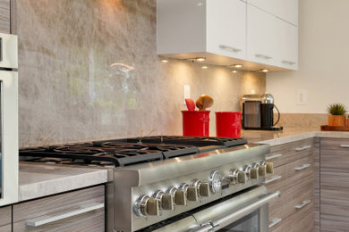 Kitchen - modern kitchen idea in Orange County