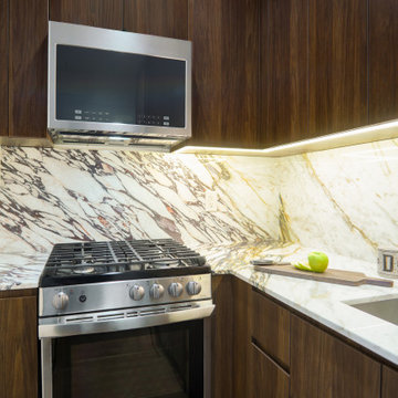 Harlem Condo Kitchen