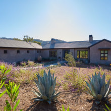Curb Appeal