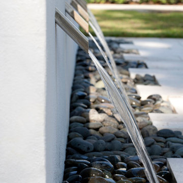 Temple Terrace Resience