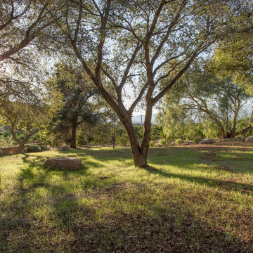 Topa Topa Foothills Landscape | Ojai CA