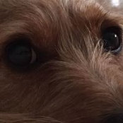 Betsy Hopper's photo