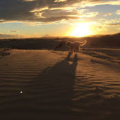 Foto von Lok Mac